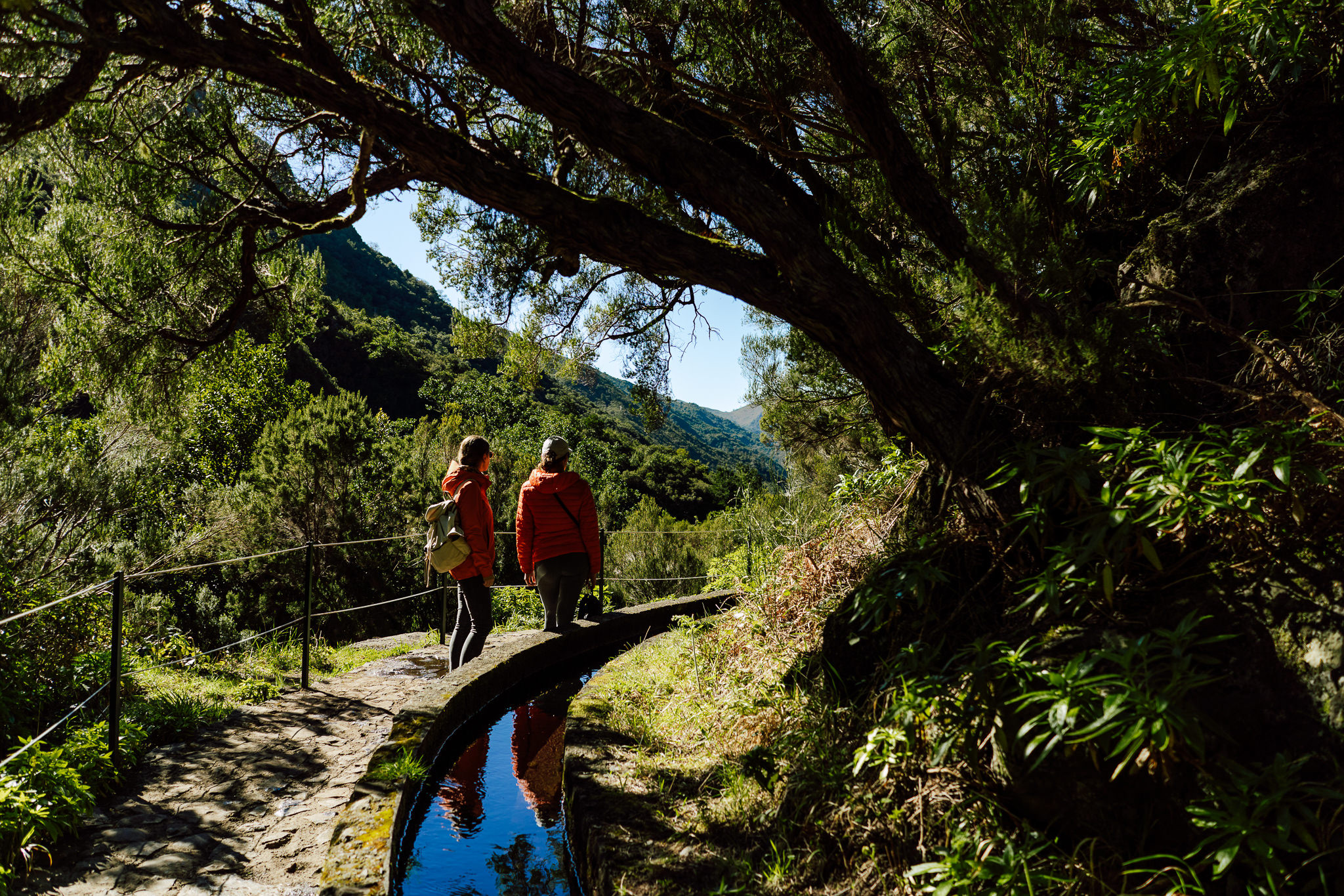 Pico do Areeiro